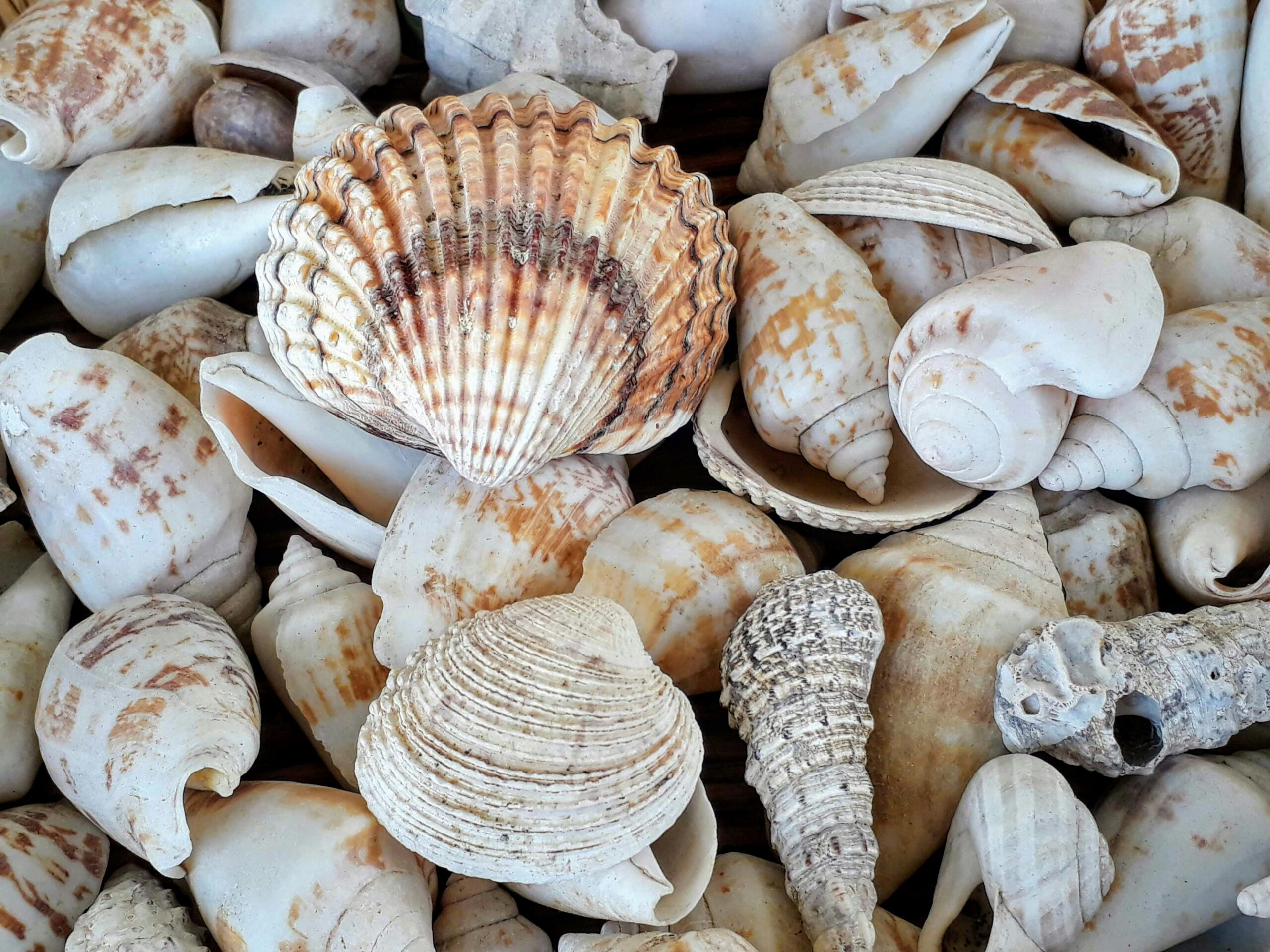 Poesia que ressoa dentro